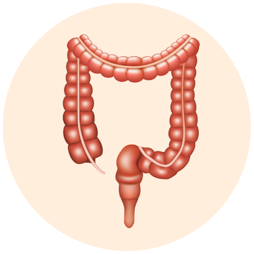 Dr. Tushar Aeron Stands Out as the Best GI Surgeon in Delhi